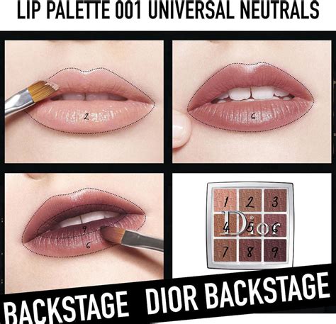 dior backstage lip palette 001 universal eutrals|Dior Backstage Lip Palette in 001 Universal Neutrals NEW.